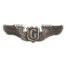 Wingpin glider wings lapel pin