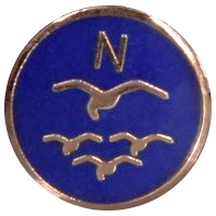 Bronze Badge Bronze Badge soaring badges