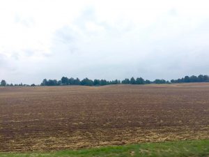 Field pic from Mike and Mitch #2 7:29